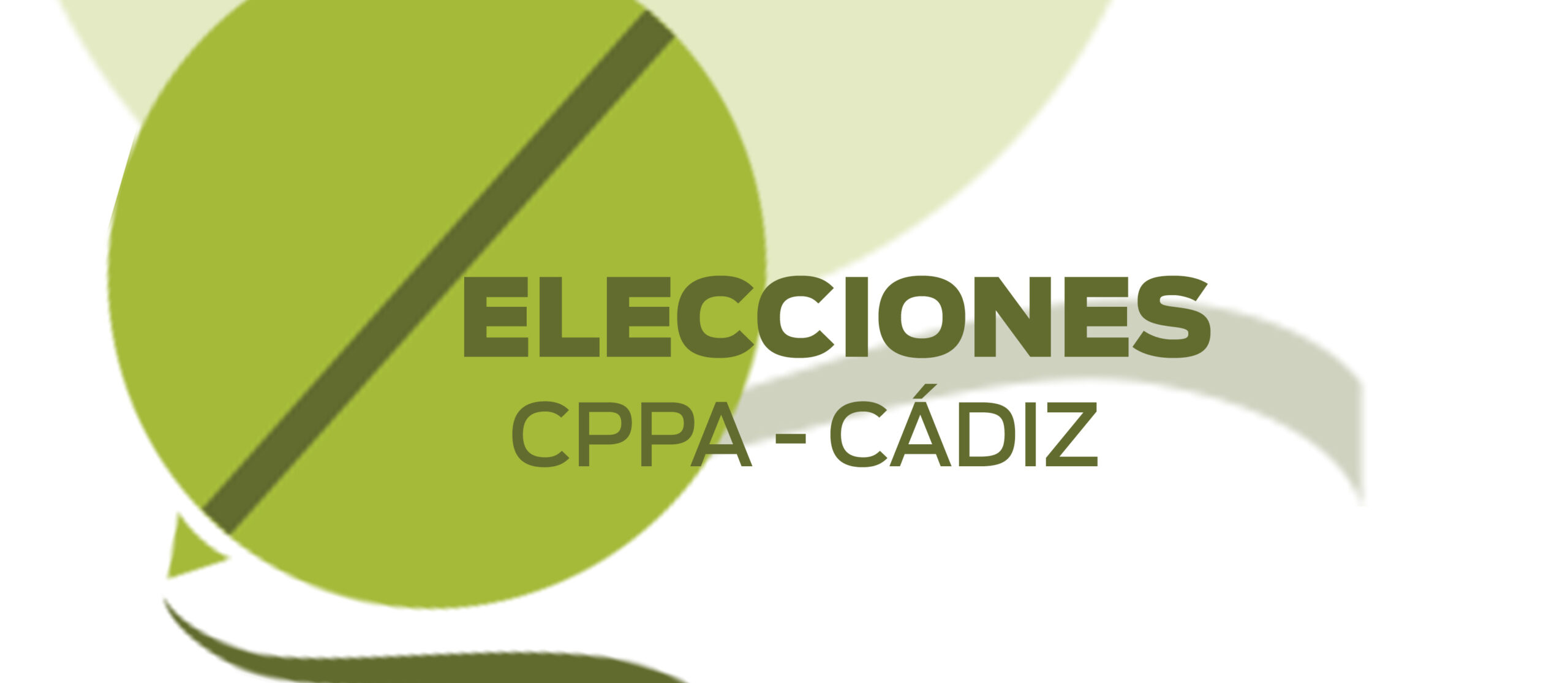 Lorena Mejías encabeza la única candidatura a la Junta Directiva de la DTCPPA en Cádiz